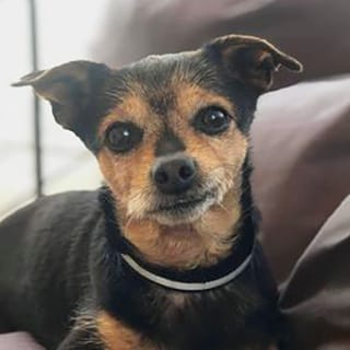 Client reference photo 1