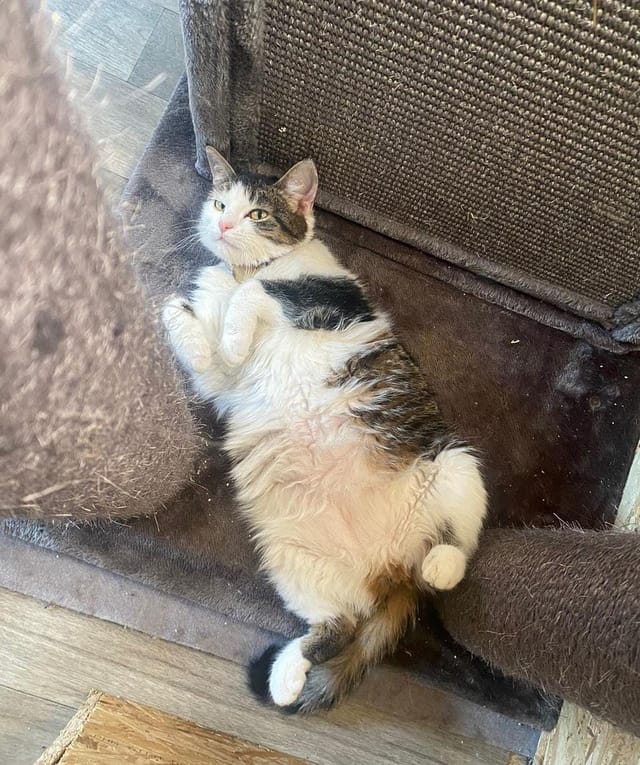 Client reference photo 11