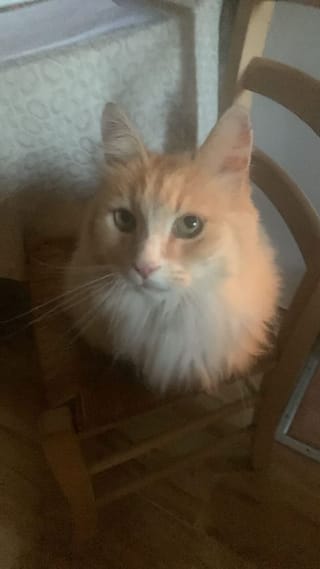 Client reference photo 8